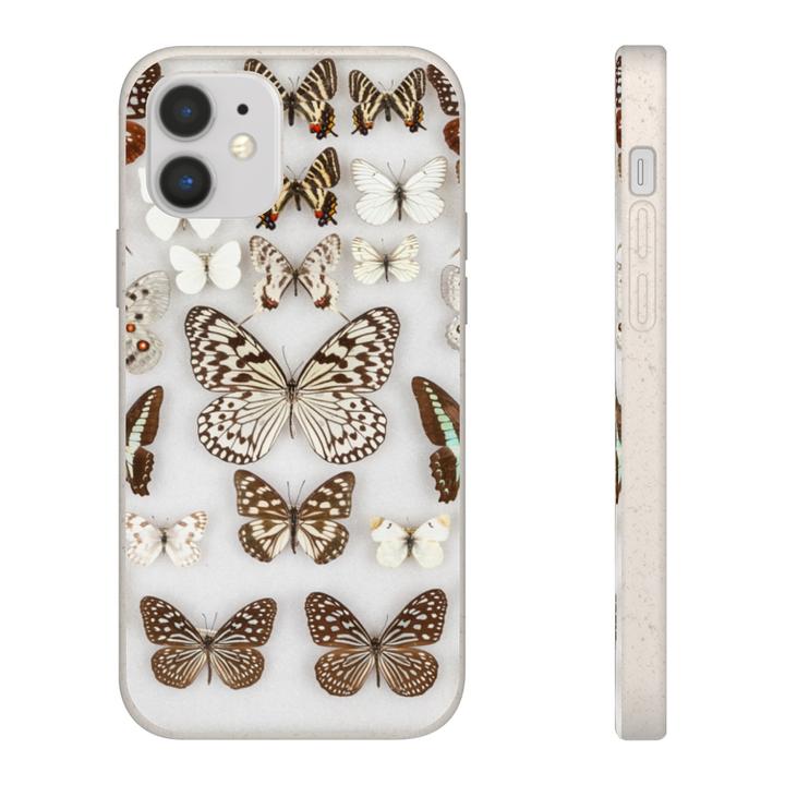 butterfly phone case from San Diego's TheNat Museum